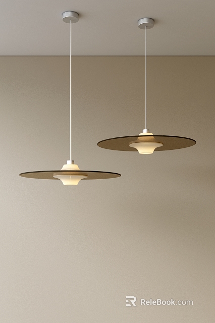 Two Pendant Lights Featuring Circular Light Brown Shades And White Bodies Against Light Colored Wall 3d model 