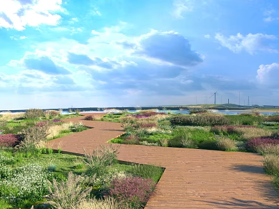 Lush Flower Meadow With Winding Pathway And Mixed Native Plants Under Clear Sky 3d model