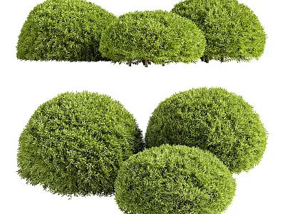 Lush Green Round Decorative Bushes For Garden Landscaping And Outdoor Design 3d model