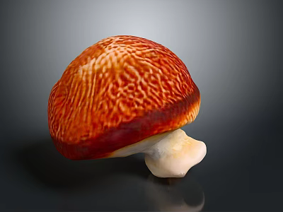 Mushroom Organ Like Structure With Hair Like Texture On Red Orange Cap And White Stem 3d model