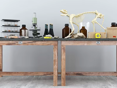 Essential Medical Equipment Including Microscope Skeleton Model And Glass Bottles On Laboratory Tables 3d model