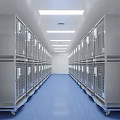 Elevator Corridor Featuring Metal Cages Both Sides Blue Floor Long Strip Ceiling Lights Clean Neat