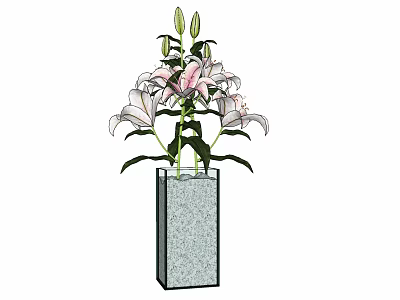 Blooming Pink And White Lilies In Square Textured Glass Vase 3d model