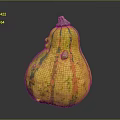 Yellow Green Striped Pear Shaped Decorative Squash With Textured Surface And Green Stem