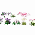 Colorful Garden Flowers And Herbs With Purple Pink And White Blooms