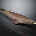 Realistic Brown Seal With Smooth Fur Lying On Dark Reflective Surface 3d model