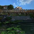 Scenic Landscape With Wooden Bridge Over Pond Lotus Leaves Blue Sky White Clouds And Houses