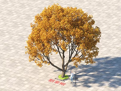 Golden Yellow Leaf Tree Standing On Paved Ground With Person Below 3d model