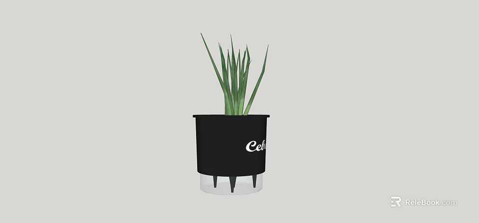 Bonsai Potted Plant In Black Pot With Slender Green Leaves And Cath Lettering 3d model 