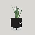 Bonsai Potted Plant In Black Pot With Slender Green Leaves And Cath Lettering