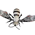Detailed Black And White Striped Bee With Patterned Wings And Red Accents 3d model