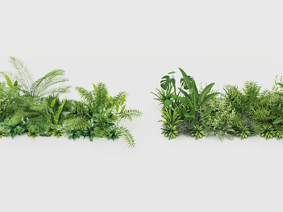 Lush Green Plant Combination with Various Foliage and Fern Leaves Arrangement 3d model