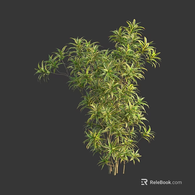 Lush Decorative Shrub With Green And Yellow Leaves For Garden Landscaping 3d model 