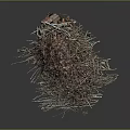 Natural Pile of Twigs Leaves and Branches with Organic Debris