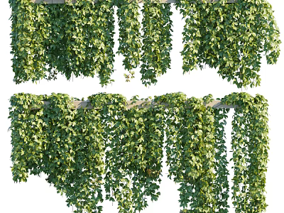 Lush Hanging Green Plant Wall With Dense Foliage And Cascading Vines 3d model