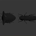 Two Black Beetles With Unique Design And Smooth Glossy Surface On Gray Background 3d model