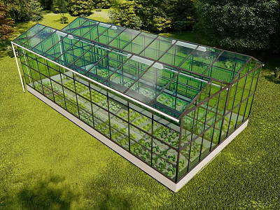 Glass Greenhouse With Transparent Walls And Interior Plants On Grass Field Surrounded by Trees 3d model