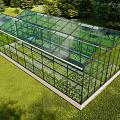 Glass Greenhouse With Transparent Walls And Interior Plants On Grass Field Surrounded by Trees