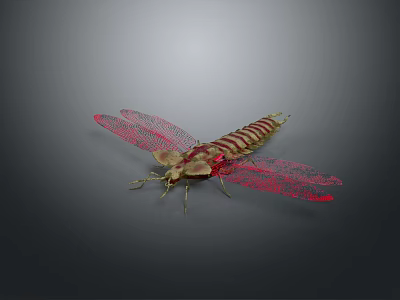 Vibrant Dragonfly With Red Transparent Wings And Striped Body On Dark Background 3d model