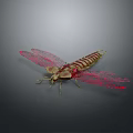 Vibrant Dragonfly With Red Transparent Wings And Striped Body On Dark Background