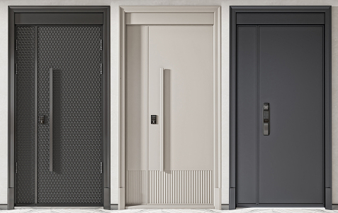 Modern Password Door Entry Door 3d model