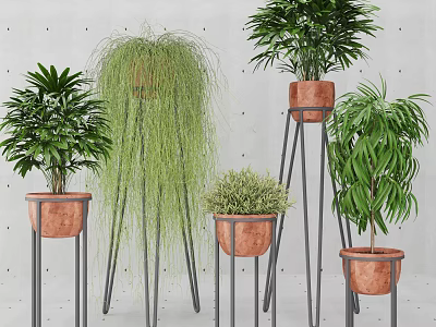 Indoor Potted Plants With Copper Pots And Metal Stands Featuring Various Green Foliage 3d model