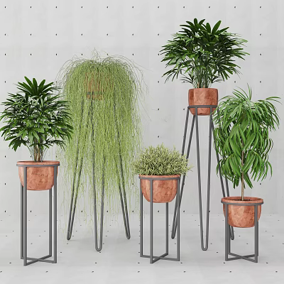 Indoor Potted Plants With Copper Pots And Metal Stands Featuring Various Green Foliage 3d model