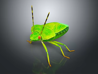 Green Bug With Red Eyes And Yellow Antennae On Gray Background 3d model