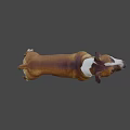 Brown And White Dog Standing With Open Mouth And Tongue Out Against Gray Background