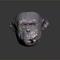 3D Rendered Ape Head Model With Textured Skin And Cigar In Mouth