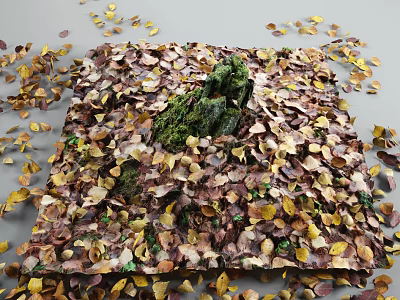 Fallen Leaves Covered Ground Featuring Central Moss Covered Rock In Autumn 3d model