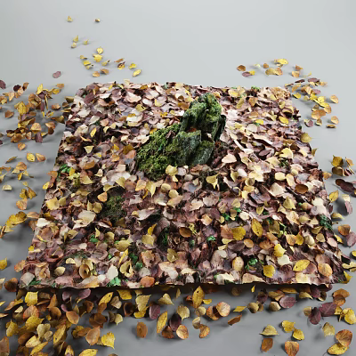 Fallen Leaves Covered Ground Featuring Central Moss Covered Rock In Autumn 3d model