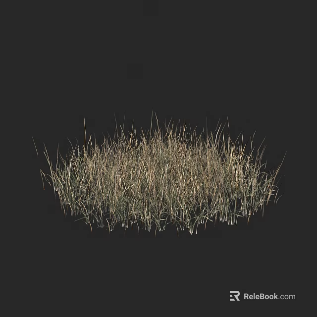 Clump of Green and Yellow Grass with Natural Texture Against Black Background 3d model 