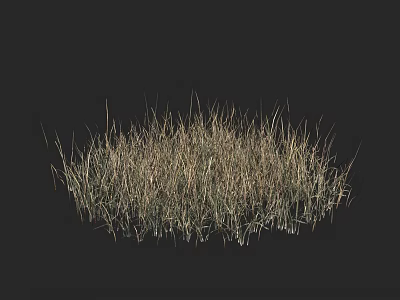 Clump of Green and Yellow Grass with Natural Texture Against Black Background 3d model