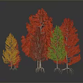 Colorful Trees With Red Orange Green Foliage Arranged On Grey Background With Reflections