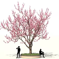 Tall Tree With Pink Blossoms And Two People Standing And Sitting On Circular Grass Base