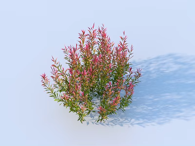 Flowering Plant with Pink Flowers and Green Leaves on Light Blue Background Casting Soft Shadow 3d model