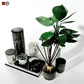 Daily Cleaning Essentials With Reed Diffusers Marble Jars Glass Bottles And Green Plants