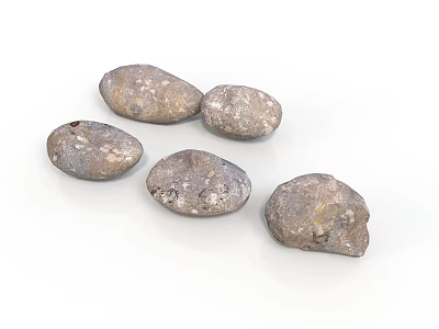 Five Natural Irregular Grayish Brown Stone Pieces With Rough Surface And White Spots 3d model