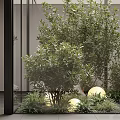 Indoor Landscape Design With Glass Walls Various Green Plants Round Lights Stones And Ground Cover
