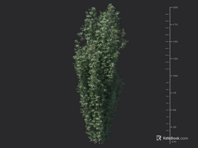 Green Shrub Plant With Leafy Foliage For Garden Landscape And Natural Height 3d model 