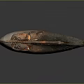Brown Shell With Glossy Surface And Natural Texture On Dark Background