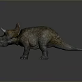 Detailed Triceratops Dinosaur Model With Realistic Textured Skin And Horns