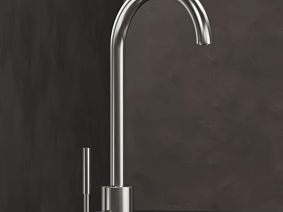 Sleek Modern Stainless Steel Kitchen Faucet With Tall Spout And Polished Finish 3d model