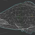 Detailed 3D Grouper Fish Model with Spotted Skin Open Mouth and Prominent Eyes