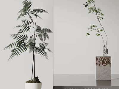 Modern Bonsai Green Plant 3d model