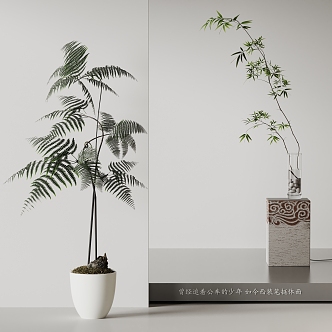 Modern Bonsai Green Plant 3d model