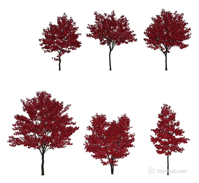 Vibrant Red Leaf Trees Featuring Distinct Foliage And Natural Growth Forms 3d model