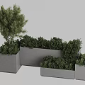 Modern Garden Landscape With Assorted Light Gray Planters Full Of Lush Ornamental Green Plants
