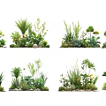 Diverse Plant Combinations with Mixed Herbs Shrubs and Decorative Stone Elements for Garden Landscaping